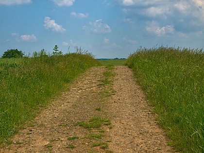 SUR LES MURS DES PAIENS EN VTT