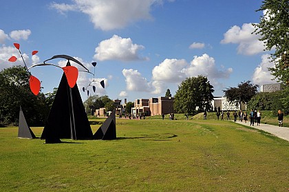 Heritage, culture and nature around the LaM