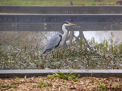 从"Parc Lagravère"车站到拉德芳斯经过南特尔