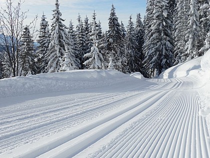 Le Bouchet raquettes hiver