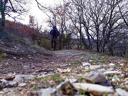 Hiking trail "Tour de Saint-Domnin"