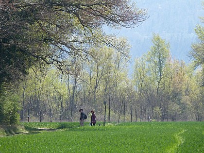 Hiking trail "Le Tour de Ribiers"