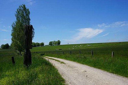 SENTIER DU MENU BOIS