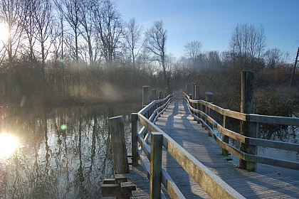 Exploring the marshes of Fretin