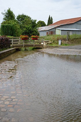 Sentier Nigella