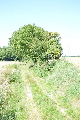 Sentier du Pigeonnier