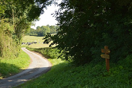 Sentier de la Tête Mahu