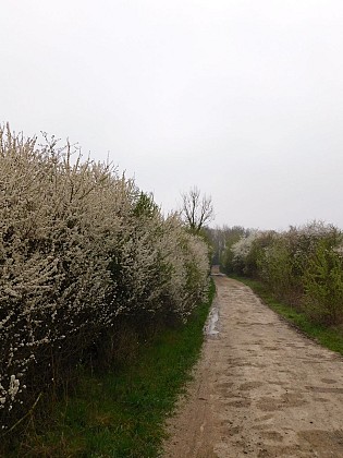 La Biche - Hérivaux - Thimécourt Circuit