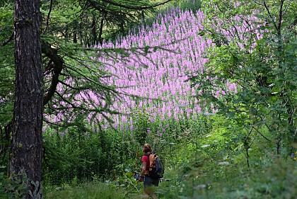 La boucle du canal de la Cime