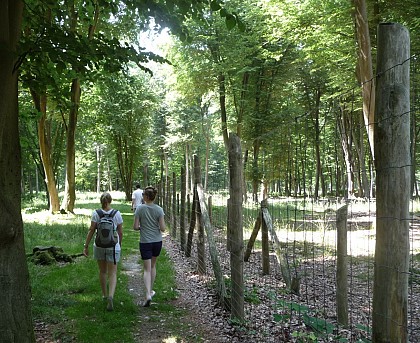Parc animalier de Roumare