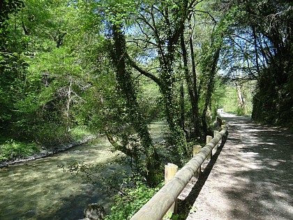 Balade au bord du Loup
