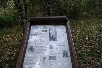 Hiking Les Boucles de l'Arlatane