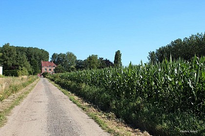 La ligne de front en longeant la Lys