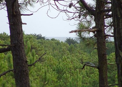 Le sentier de l'explorateur