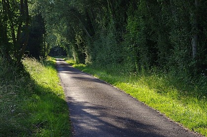 Escapade dans les marais