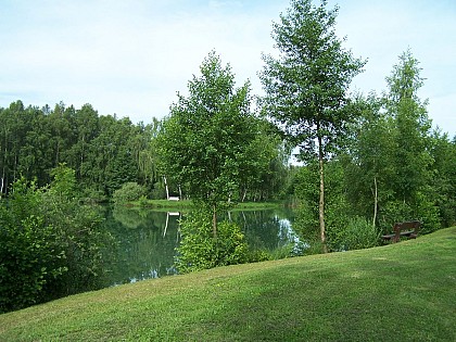 Balade en forêt d'Argonne