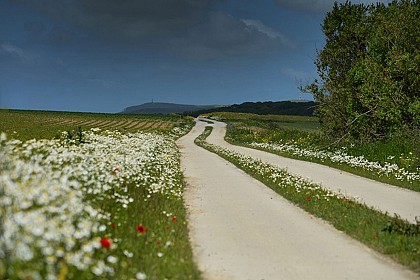 Cyclo B – Audinghen – Wissant