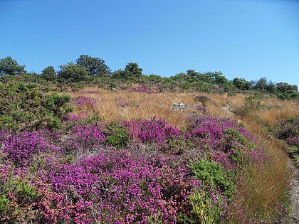 Ardoisières Trail MALANSAC