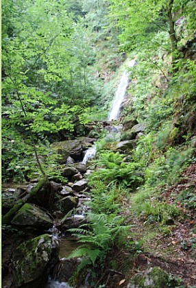 Sentier des Raynauds