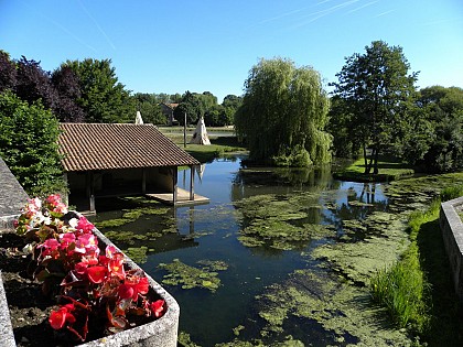 Saint Martin L’Ars : entre patrimoine architectural et nature