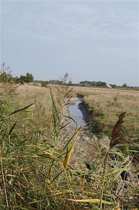 Sentier de la Dune au Marais - Pédestre