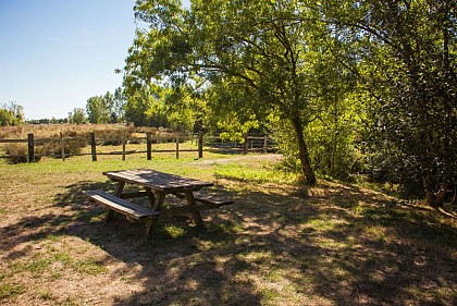 Sentier pédestre Les Charrières