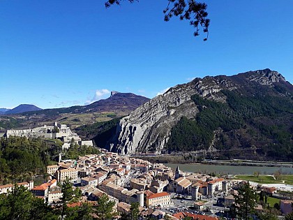 Hiking trail "Le bois de Buche"