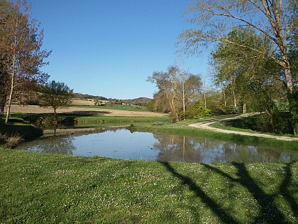 Sentier des Orchidées à Villasavary