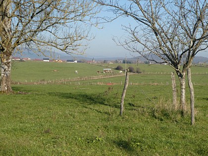 Circuit pédestre "La ronde du Paquis" - Vosges du Sud