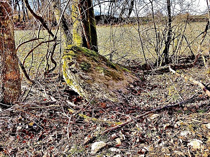 Circuit pédestre "Sentier de la Côte" - Vallée de l'Ognon