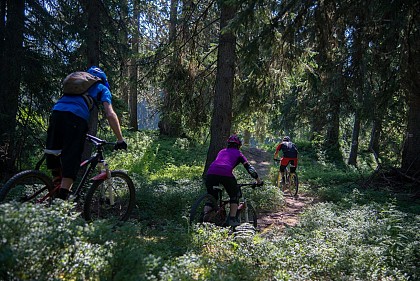 Enduro MTB - Adret'Naline
