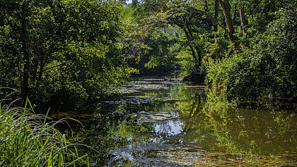 Between canches and marshes