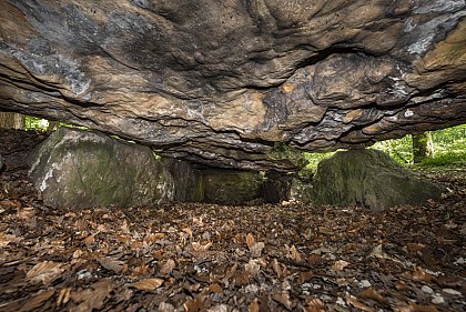 In Carnelle Forest