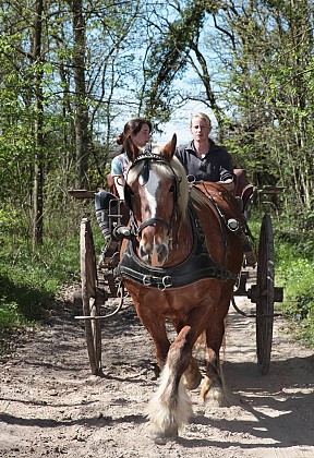 Itinerary: From one river to another between Juine and Essonne - 28km