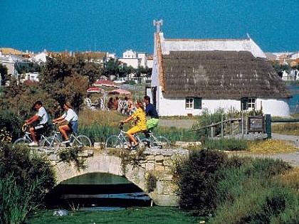 Autour des Saintes-Maries-de-la-Mer