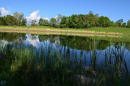 Le lac du Loup : escapade nature en famille