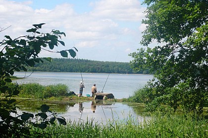 Sentier de l'Etang du Boulet