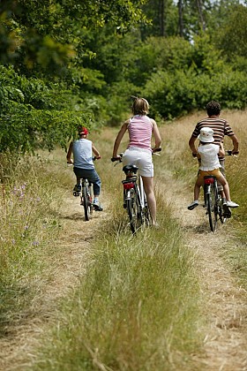 Boucle vélo de Bains-sur-Oust n°11