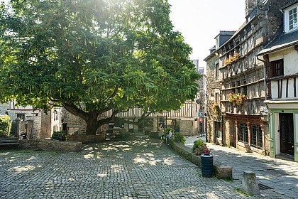 Arboretum de Saint-Brieuc