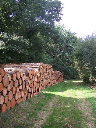 RANDONNÉE LES HAUTS DU DORÉ