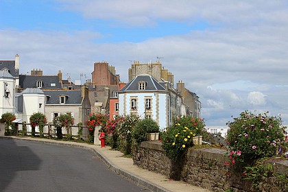 Le chemin de la sardine