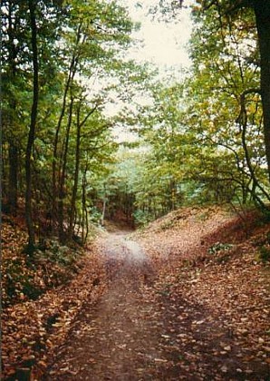 Abbey of Ouÿe Circuit