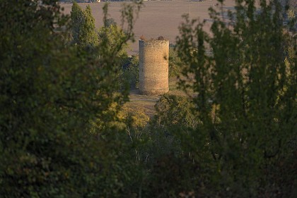Le Donjon