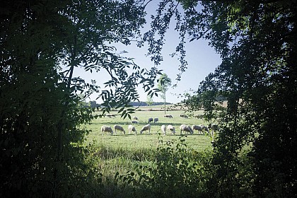Hiking around "Anonvilla"