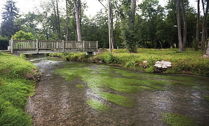 Hiking the forest of Nanteau