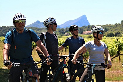 Tour guidé à vélo électrique et Dégustation en Pic Saint Loup