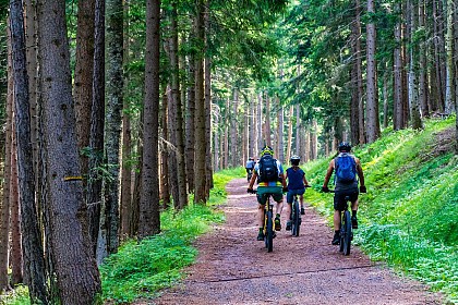 Circuit VTT-FFC n°18 à La Grande-Verrière