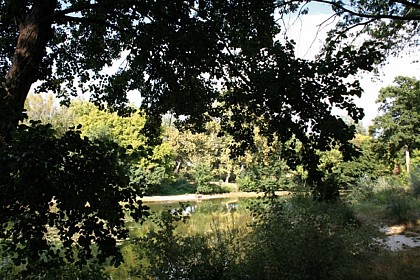 La plaine de Marsillargues