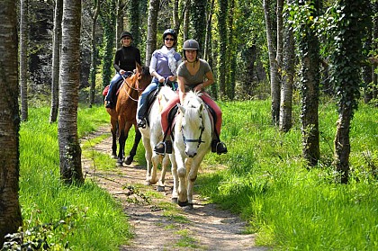 Equibreizh : Les Marches de Bretagne