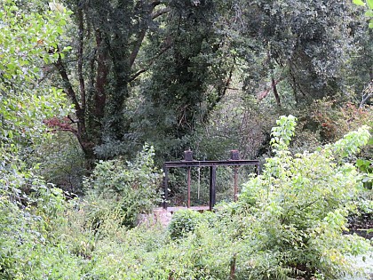 Balade à roulettes : Bois du Dehès